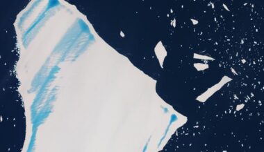 Satellite image shows world’s former largest iceberg near end | National