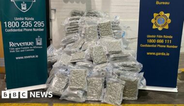 Louth: Gardaí seize cannabis worth more than €10m - BBC