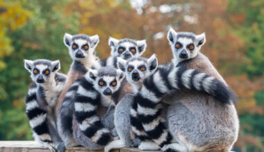 Yahoo entertainment home