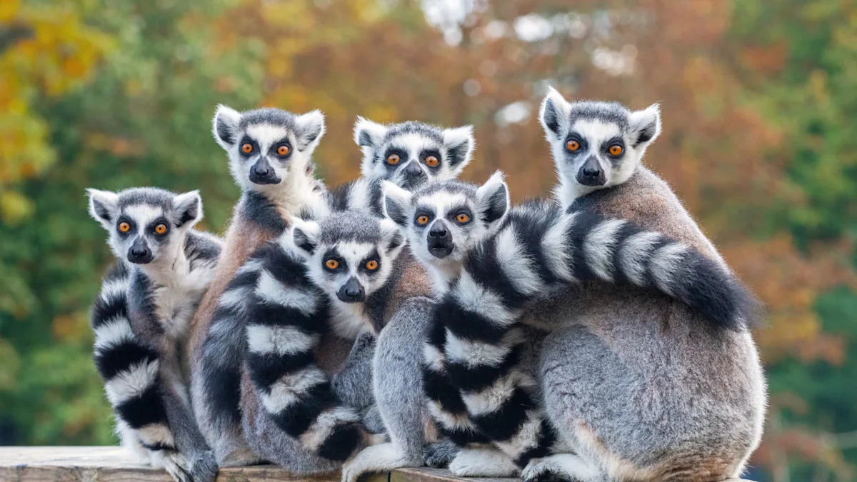 Yahoo entertainment home