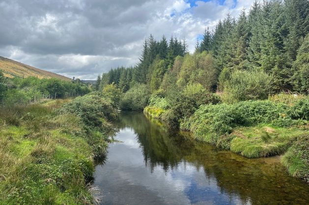 Wicklow river chosen for EU climate project tackling floods and drought