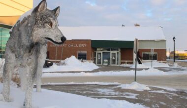 Mann Art Gallery announces changes to address financial pressures