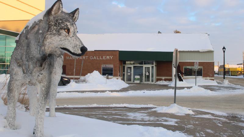 Mann Art Gallery announces changes to address financial pressures