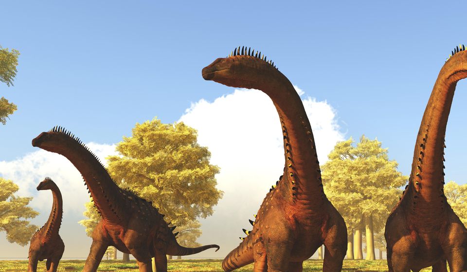 The Alamosaurus was among the prey of the T rex