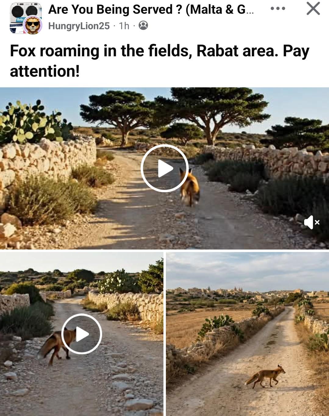 One of the Facebook posts featuring AI-generated videos and images.
