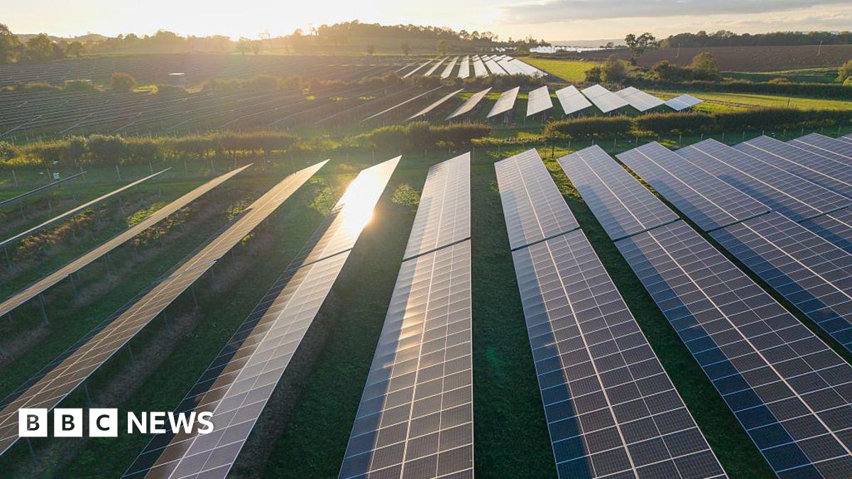 Rows of solar panels in green fields and between hedgerows.
