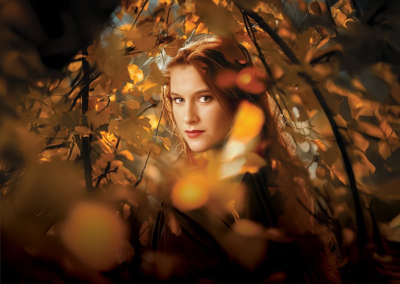 Cunning Little Vixen