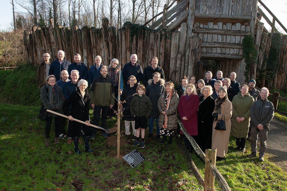 Mairead Murphy planting the tree at the tree planting memorial for the late Arthur J. Murphy ceremony at the Ringfort entrance in the Irish National Heritage Park on Friday. Pic: Jim Campbell