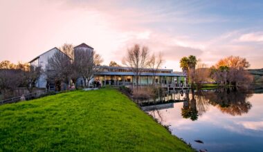 Northern California museum and sculpture park puts its property up for sale - The Art Newspaper