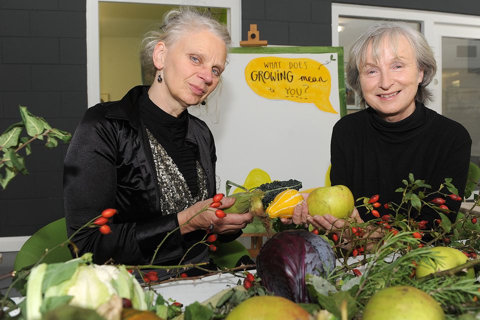 Groundswell founder Pamela Whitaker and Blackrock Park's Eileen Carter at the launch of the Louth Urban Food Sanctuary in 2023. Photo: Aidan Dullaghan/Newspics