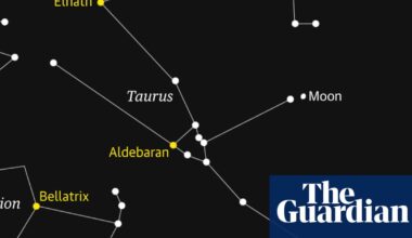 Starwatch: Moon occultation will ‘wink out’ Pleiades star cluster | Astronomy