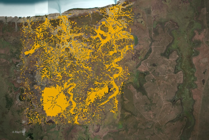 A map shows sections of the NT where mangroves grow, with more of the land covered than in years prior.