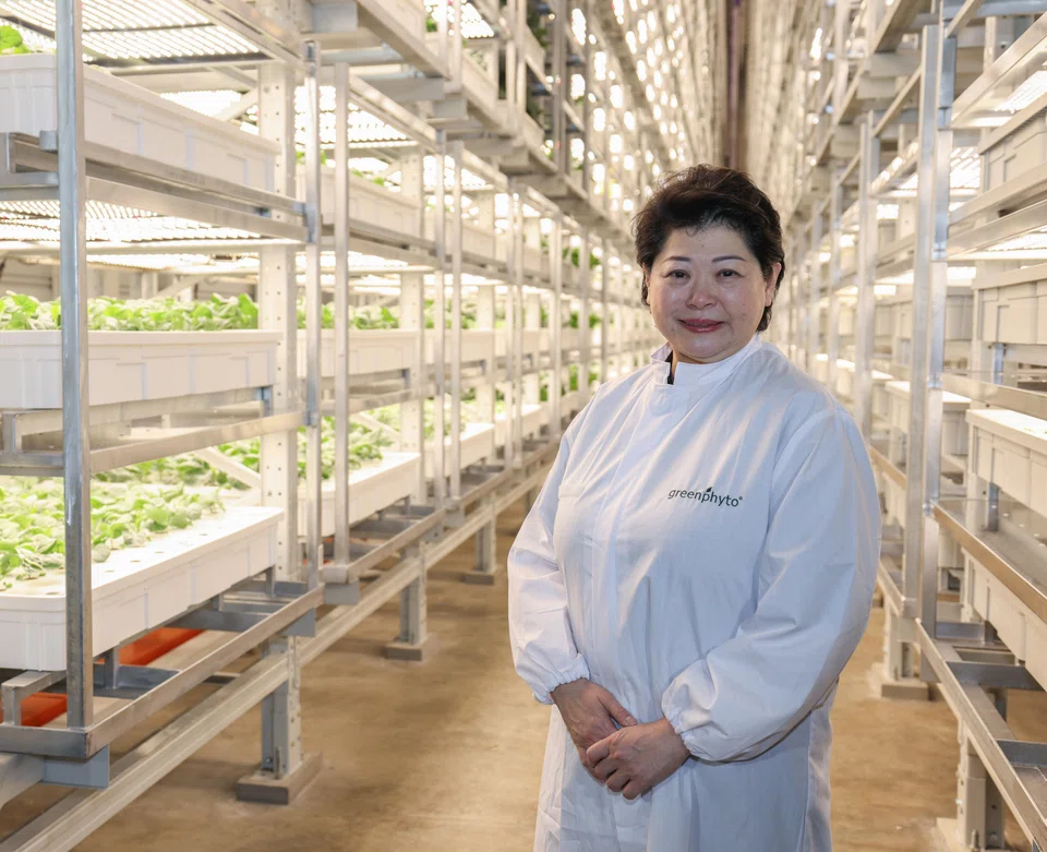 Susan Chong, founder of GreenPhyto, says the farm began as a community project she ran at her previous company.
