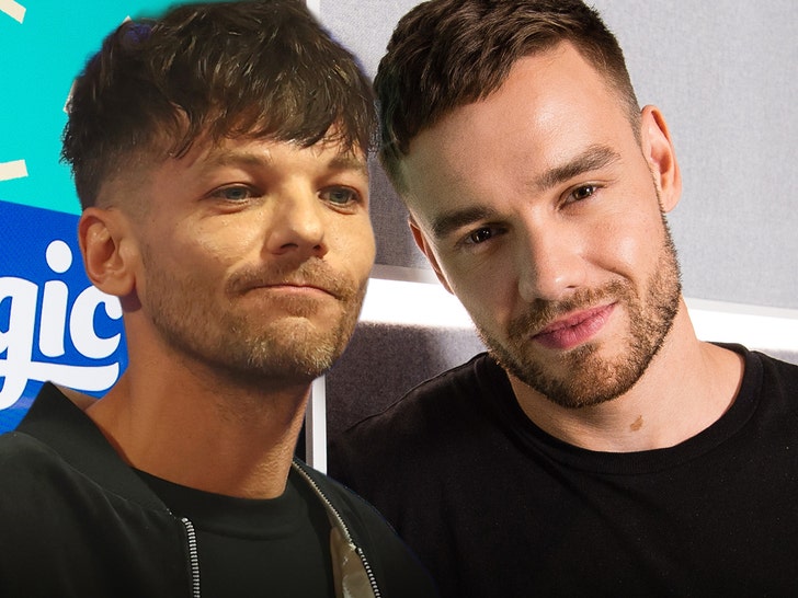 louis tomlinson liam payne main getty