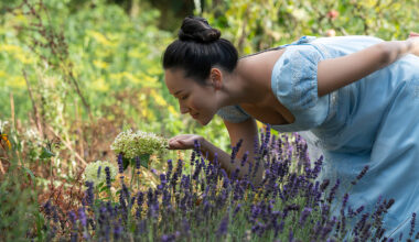 Bridgerton Season 4: Six New Images Tease Romance Ahead of the Premiere