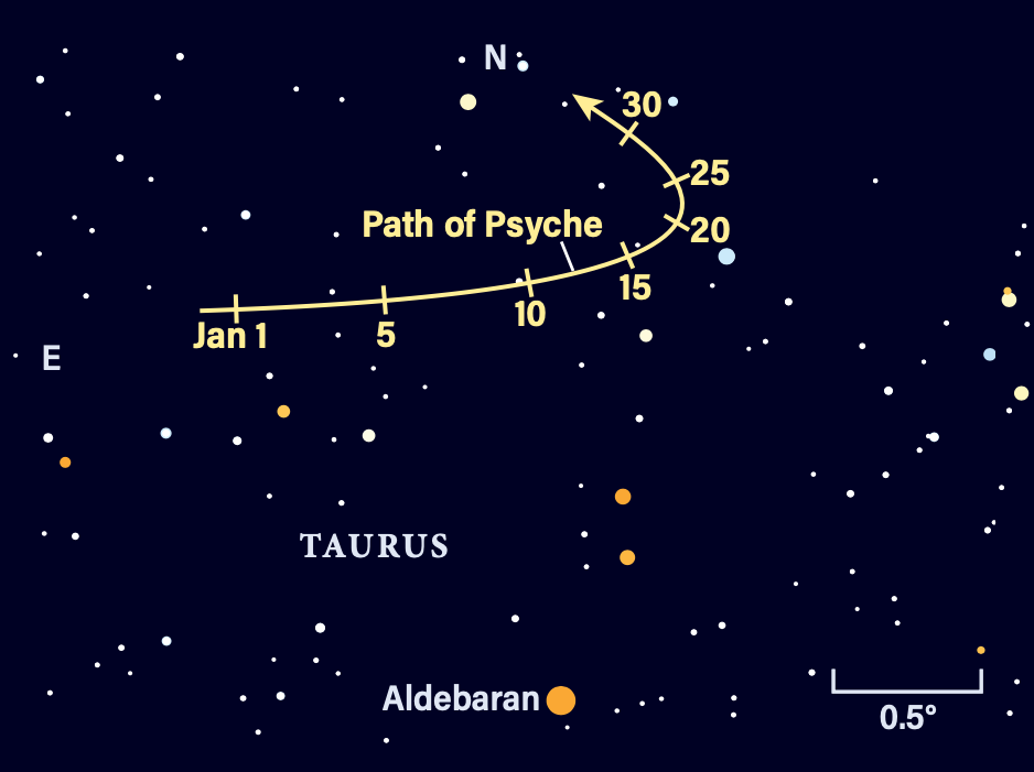 The path of asteroid 16 Psyche in January 2026