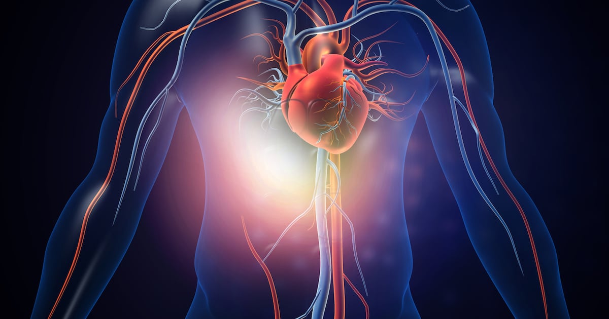 Galway medtech Vivasure acquired in deal worth up to €185m – The Irish Times