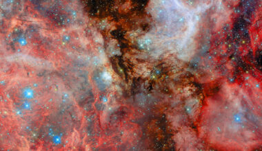 A neighbouring vista of stellar birth