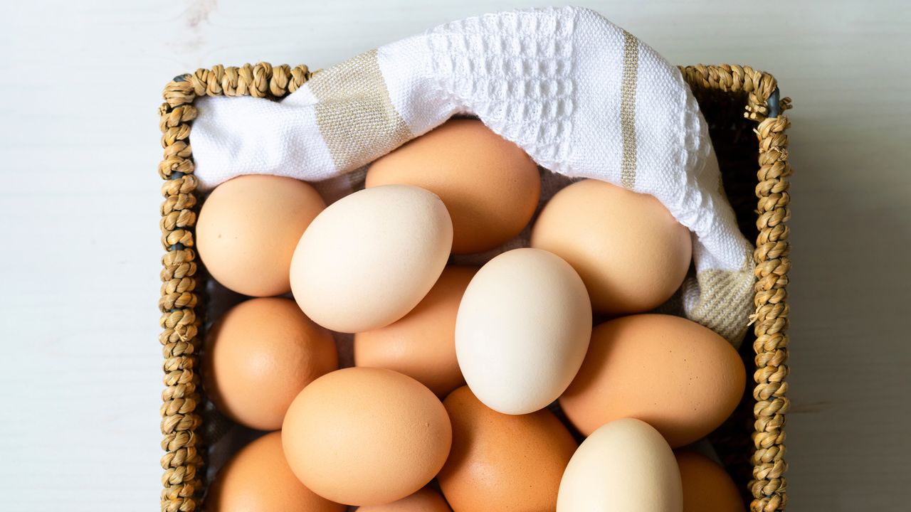 Is There Such a Thing as Eating Too Much Protein?