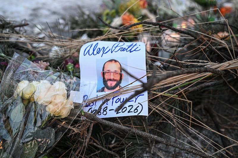 A photograph of Alex Pretti at a makeshift memorial at the site in Minneapolis where he was shot and killed by federal immigration agents. Photograph: Victor J Blue/The New York Times
                      