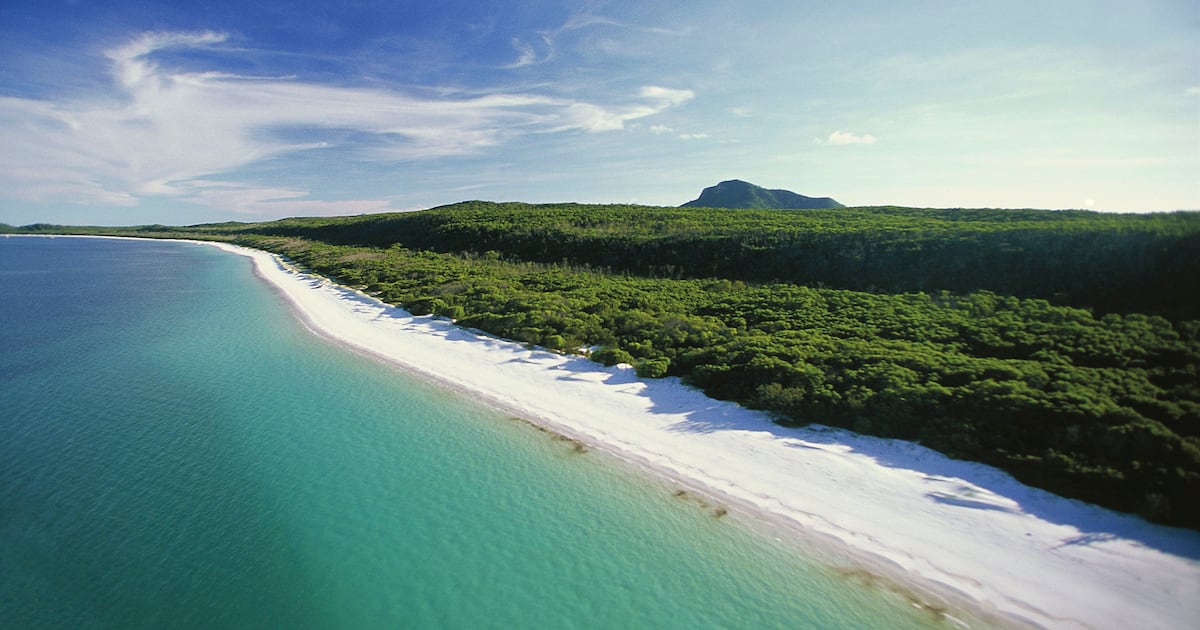 Irish man (35) found dead at Whitehaven beach among three deaths on Australia’s east coast – The Irish Times