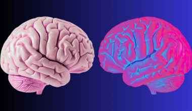 Scientists Identify Brain Waves That Define The Limits of 'You' : ScienceAlert