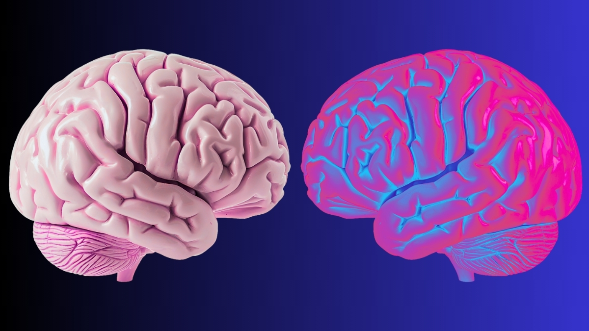 Scientists Identify Brain Waves That Define The Limits of 'You' : ScienceAlert