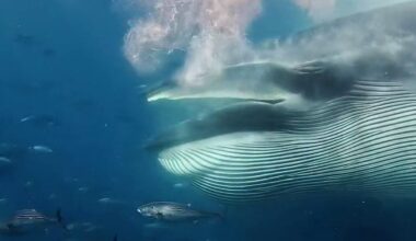 ‘Did That Just Happened to Us?’