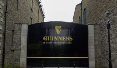 House of Guinness’s new chief wastes little time tackling stout at Diageo – The Irish Times