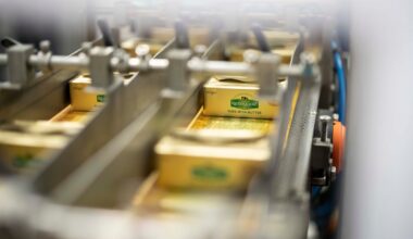 Price of Kerrygold butter cut by 9% across SuperValu and Centra stores – The Irish Times