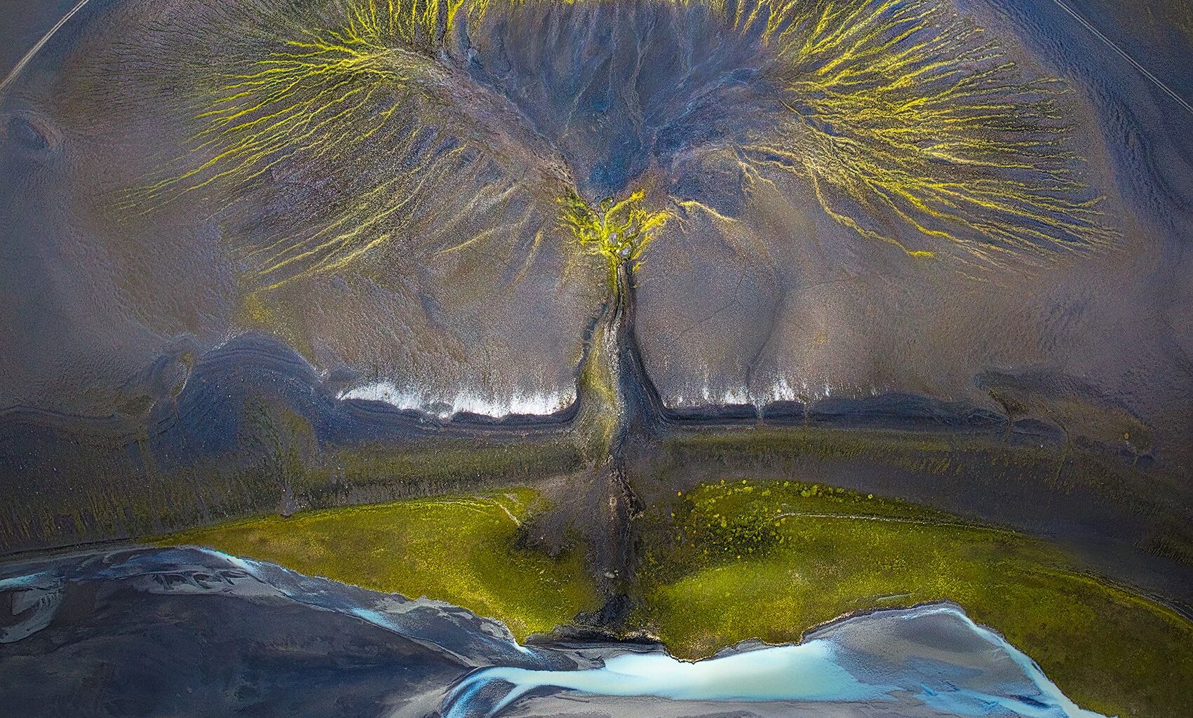 Aerial view of abstract patterns in colorful sand and water, resembling a tree with green foliage against dark textures.