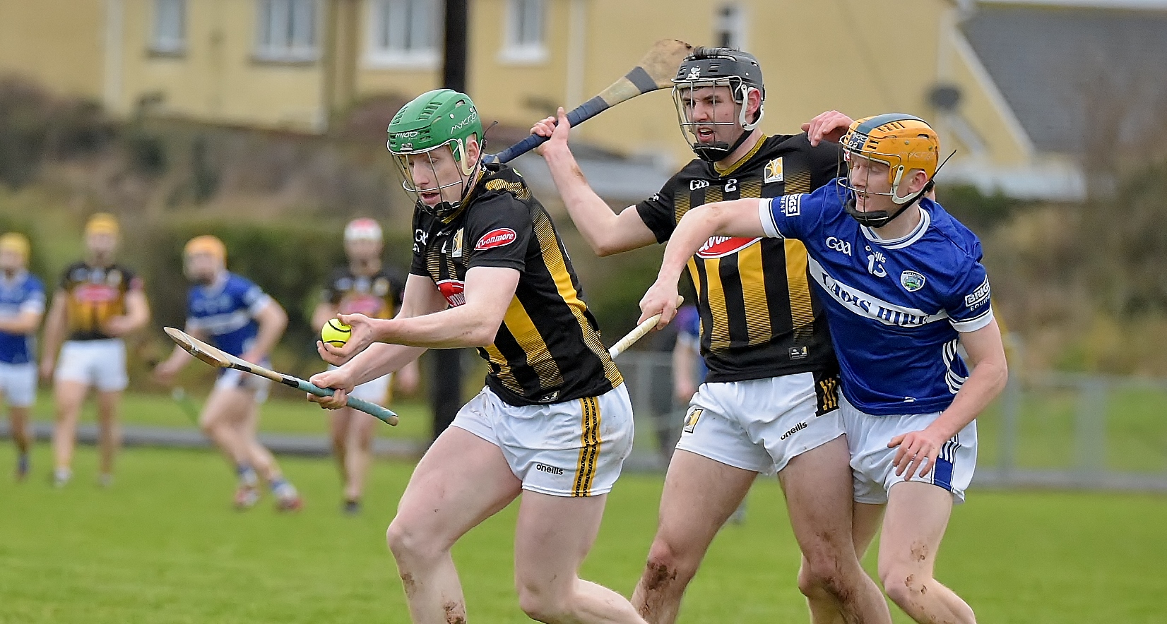 Kilkenny Team v. Kildare Named for the Dioralyte Leinster Walsh Cup Shield Final - Kilkenny GAA