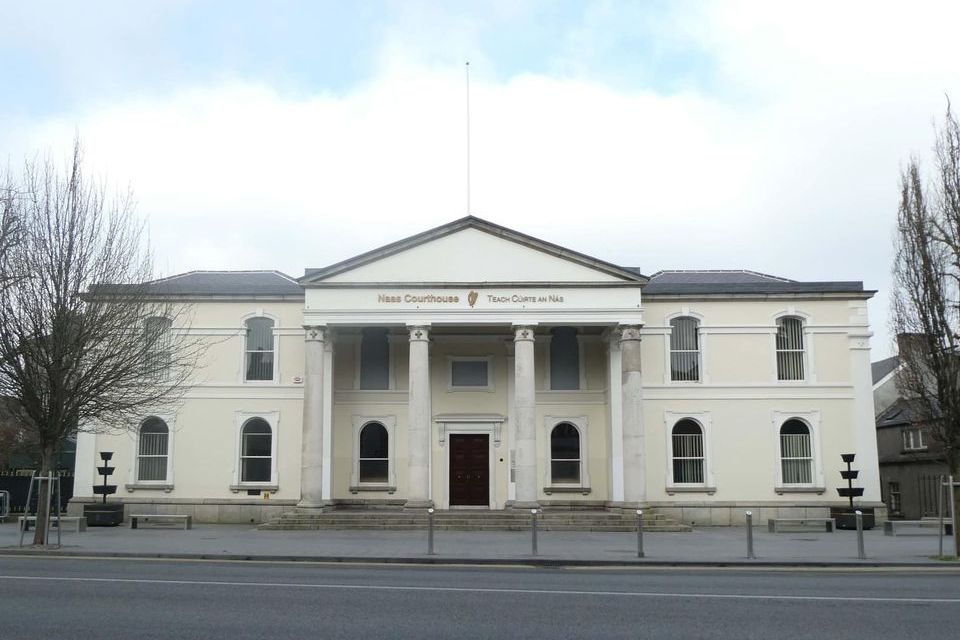 At Naas District Court, Ionut Nitulescu pleaded guilty to misleading a consumer