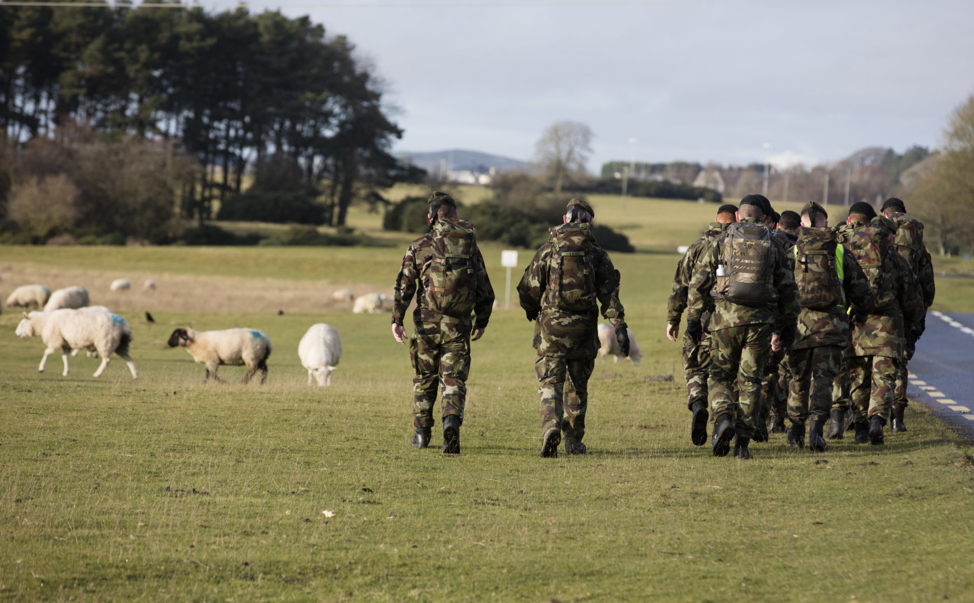 Members of the Irish Army.