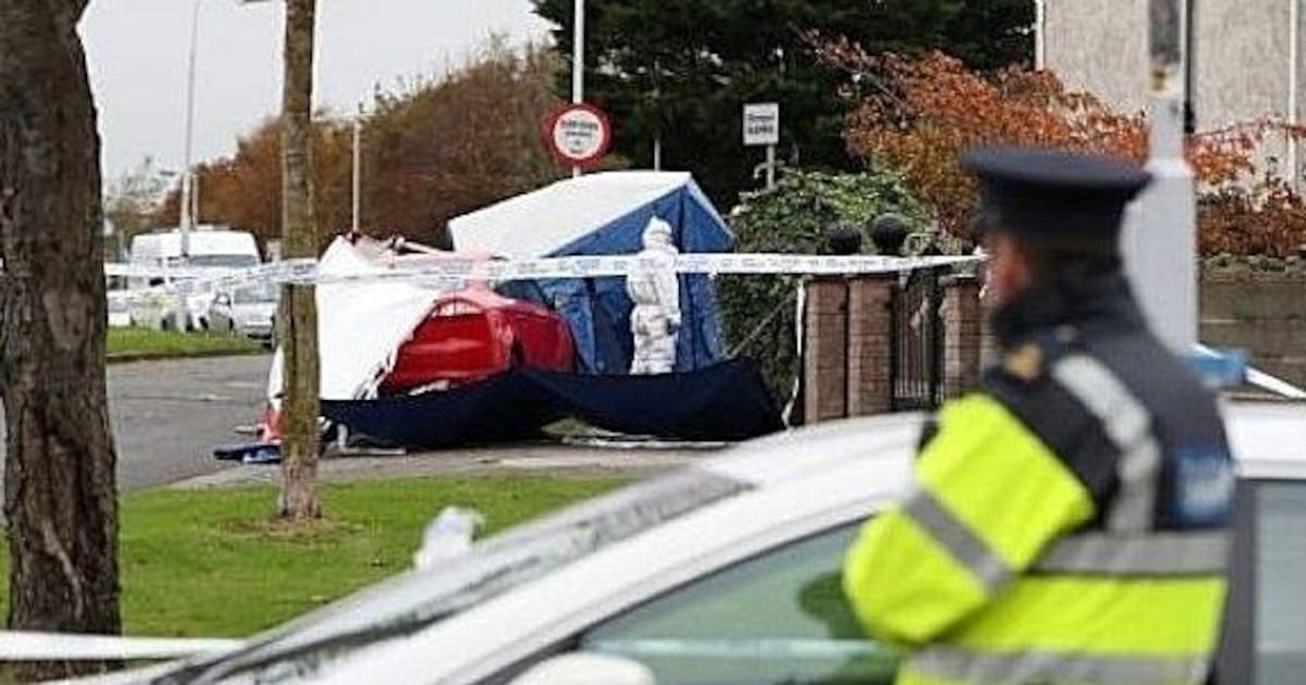 Woman is charged in connection with 2017 fatal gangland shooting in Dublin – The Irish Times