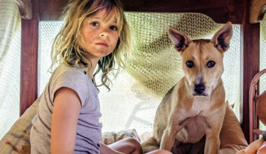 Dont Lets Go To The Dogs Tonight Coming To Netflix