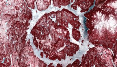A snowy landscape shows red rocks with white snow interspersed to create a muscle-y, meaty image