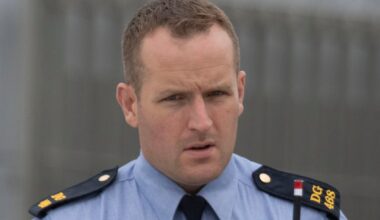 Serving garda to stand trial on charges of burglary, assault and sending offensive messages – The Irish Times