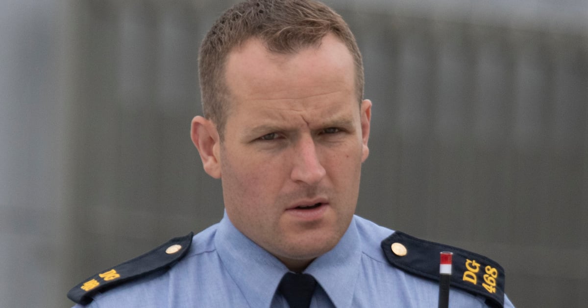 Serving garda to stand trial on charges of burglary, assault and sending offensive messages – The Irish Times