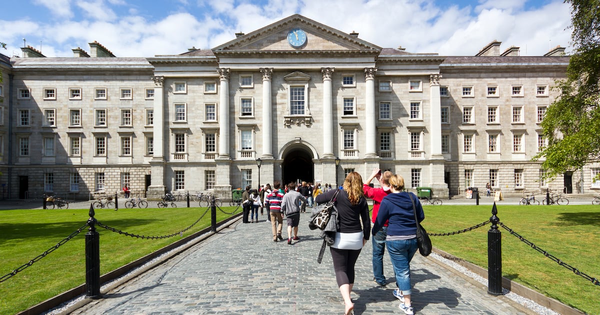 Trinity researcher told ‘associate professor’ title is purely honorary – The Irish Times