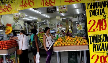 Brazil annual inflation rate likely slowed further in December 