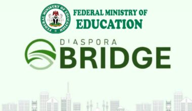 Call For Applications:  Diaspora Bridge Entrepreneurship Support Program (