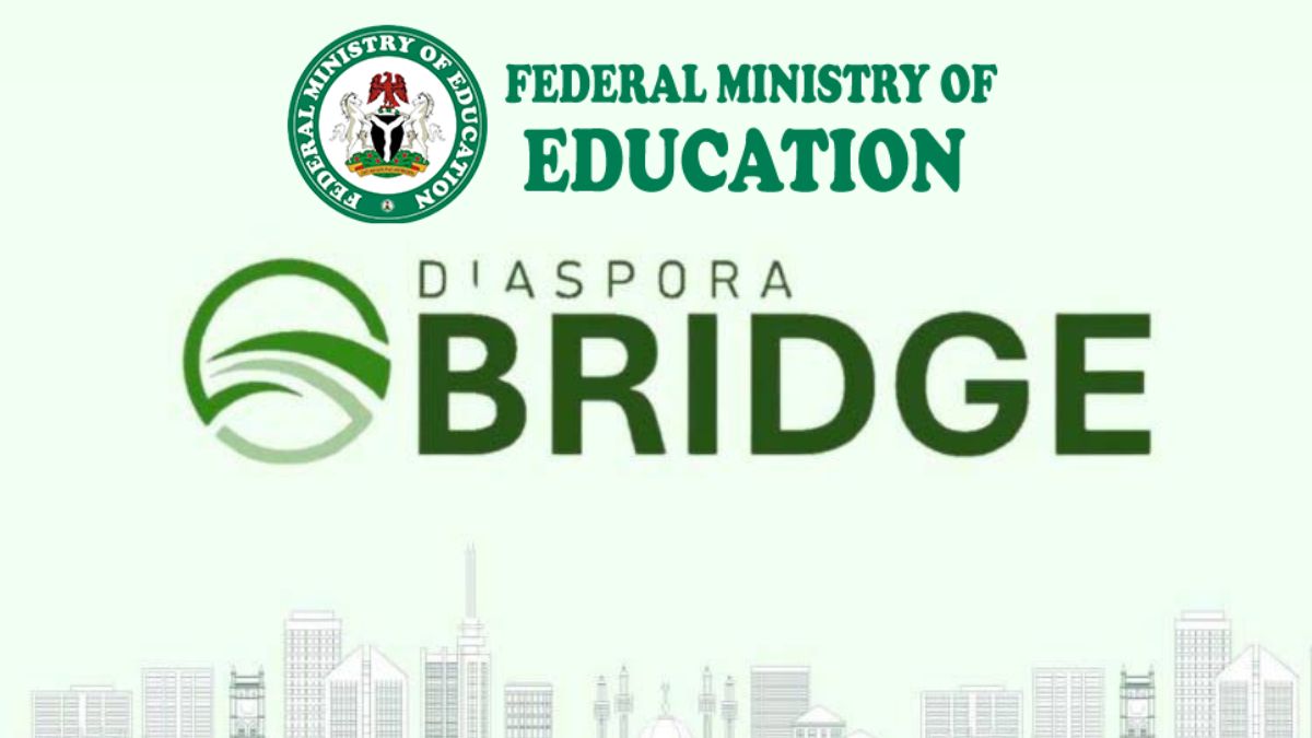 Call For Applications:  Diaspora Bridge Entrepreneurship Support Program (