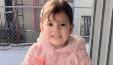 US immigration agents detain two-year-old Minnesota girl – The Irish Times