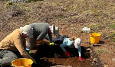 Wicklow hill fort identified as oldest prehistoric ‘proto-town’ in Ireland – The Irish Times