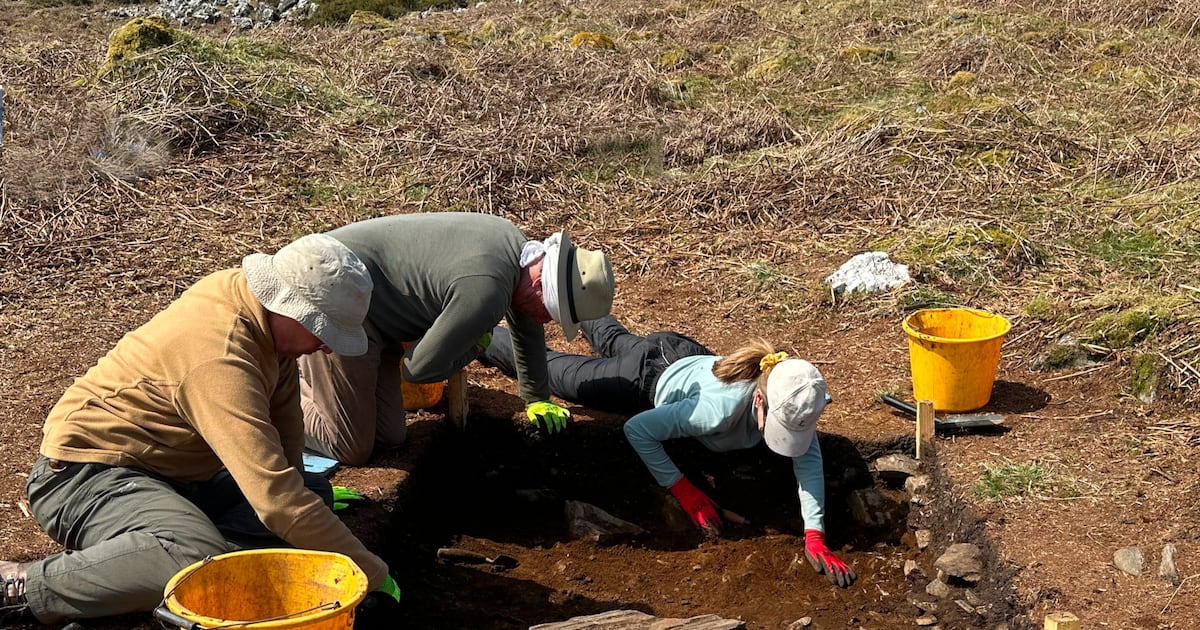 Wicklow hill fort identified as oldest prehistoric ‘proto-town’ in Ireland – The Irish Times