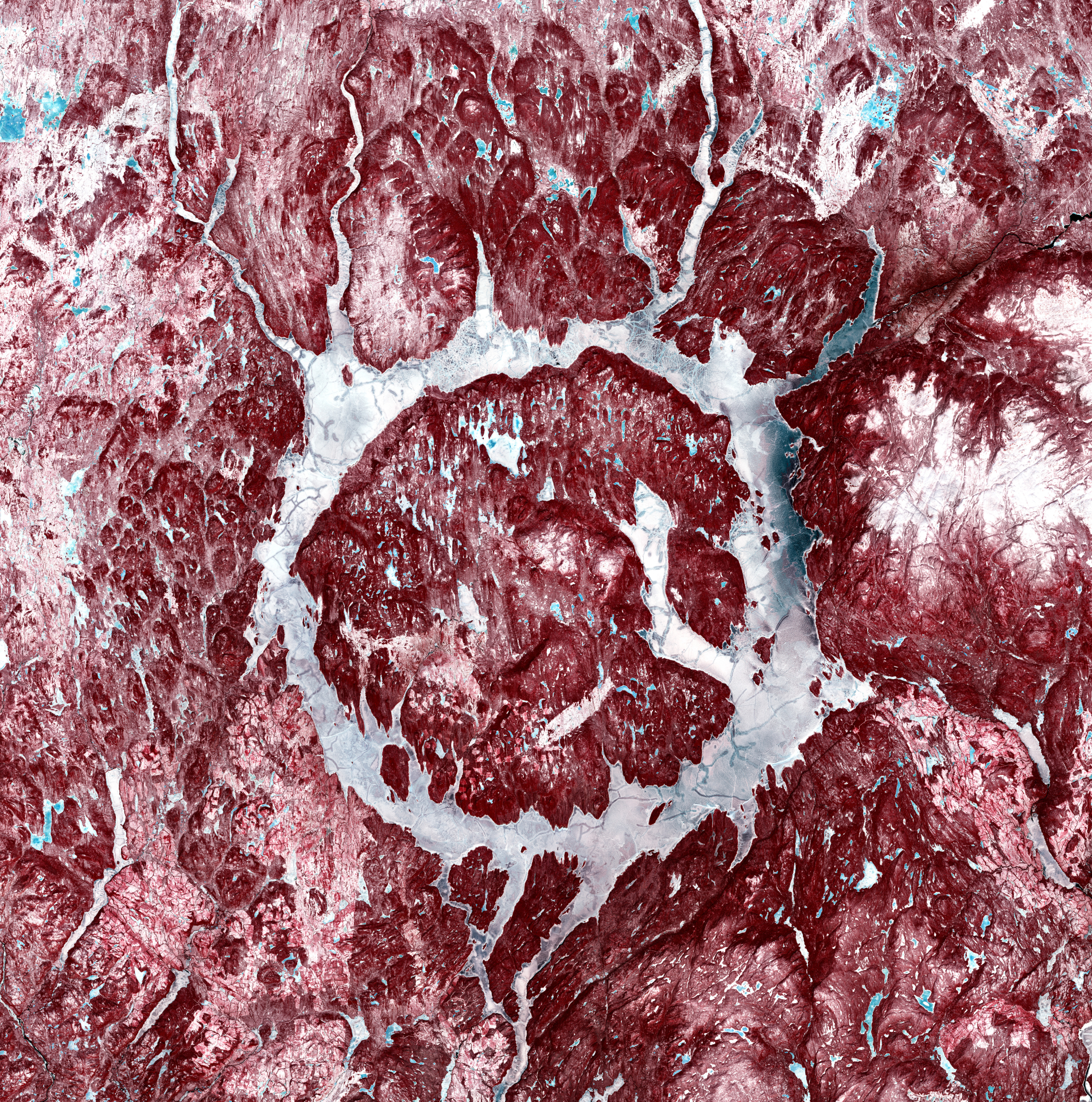 Deep red rocks mixed with snow give this image taken from space of Earth a meaty look