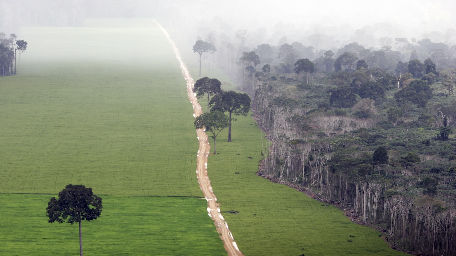 A major agreement to protect the Amazon is falling apart after 20 years