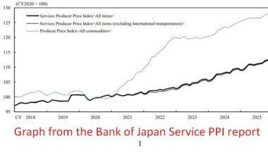 Japan service inflation holds near highs as wage pressures persist