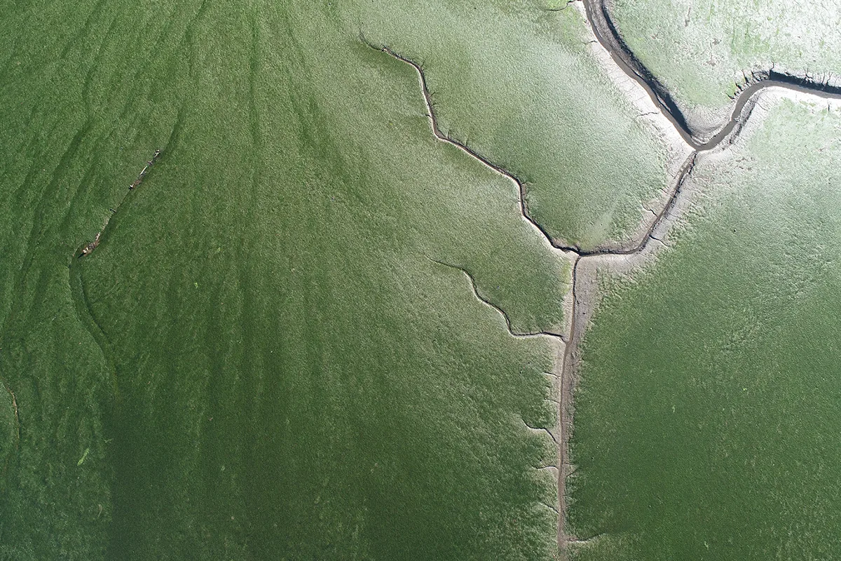 Green sand in estuary viewed from above.